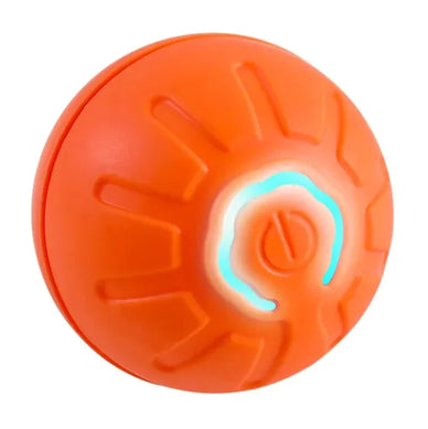 Unlock Endless Joy and Activity for Your Dog!